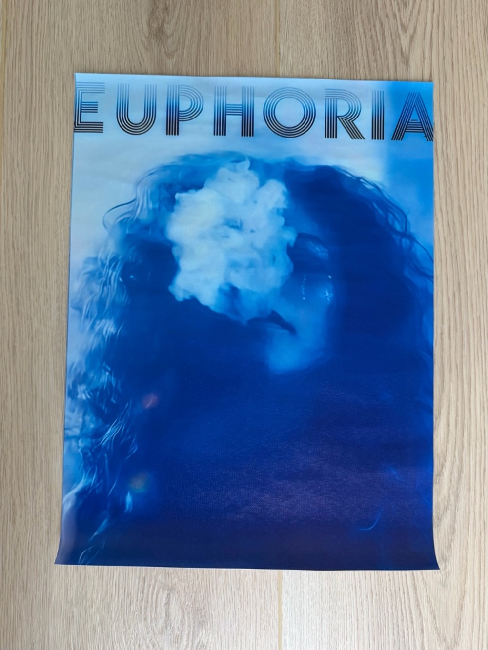 Euphoria Canvas Art Print Poster